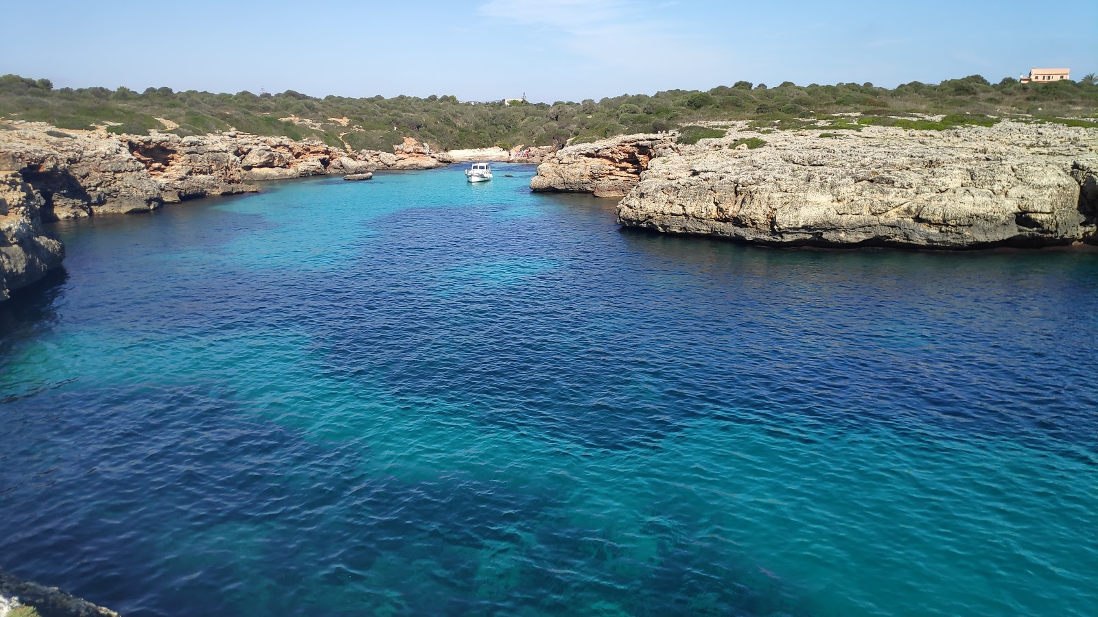 Cala Petita'in fotoğrafı turkuaz saf su yüzey ile