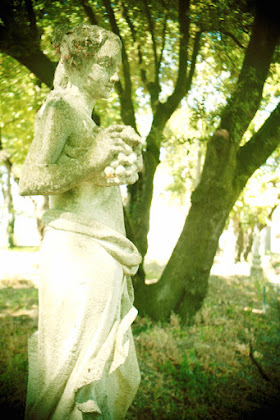 Extérieur Bed & Breakfast Agriturismo Villa Trovatore 33052 Cervignano del Friuli