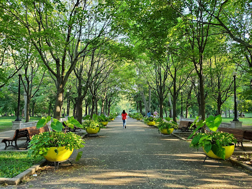 La Fontaine Park by Google