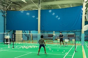 New Jersey Badminton Club image