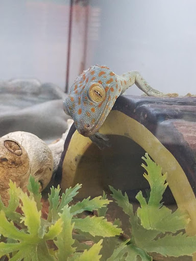 Pet Store «Friendly Pets», reviews and photos, 625 Friendly Center Rd, Greensboro, NC 27408, USA