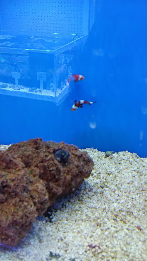 Shopping Mall «Hillcrest Shopping Center», reviews and photos, 1855 E Main St #10, Spartanburg, SC 29307, USA