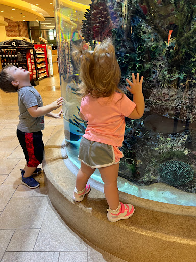 Sporting Goods Store «SCHEELS», reviews and photos, 6503 W 135th St, Overland Park, KS 66223, USA