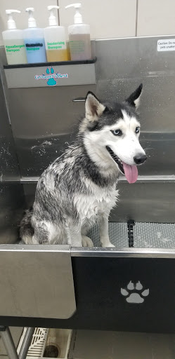 Pet Supply Store «Pet Supplies Plus», reviews and photos, 9430 W 159th St, Orland Park, IL 60467, USA