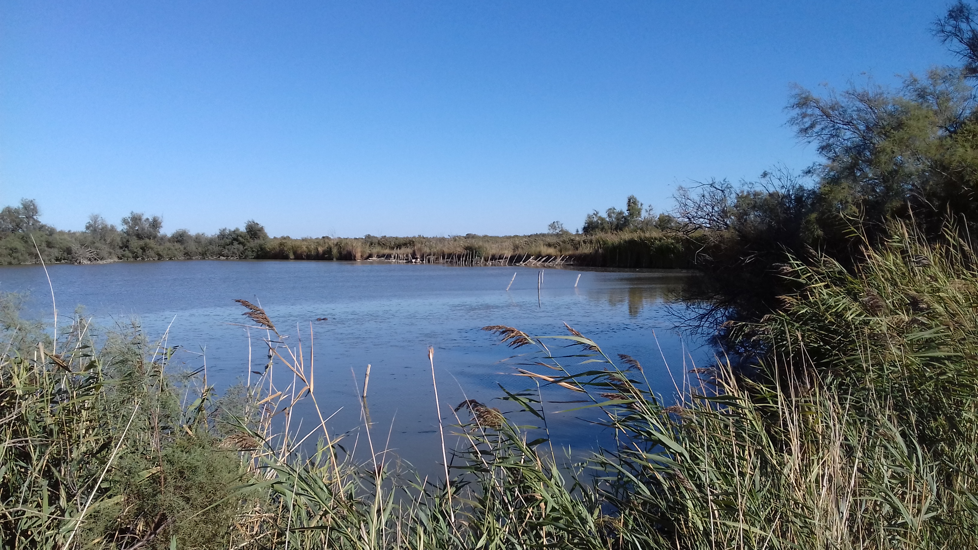 Photo n° 2 de l'avis de Marie-stanis.e fait le 16/09/2017 à 13:36
