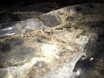 Clean CrawlSpace Inc. - Photo 2 - Car repair in Santa Rosa, CA, Santa Rosa