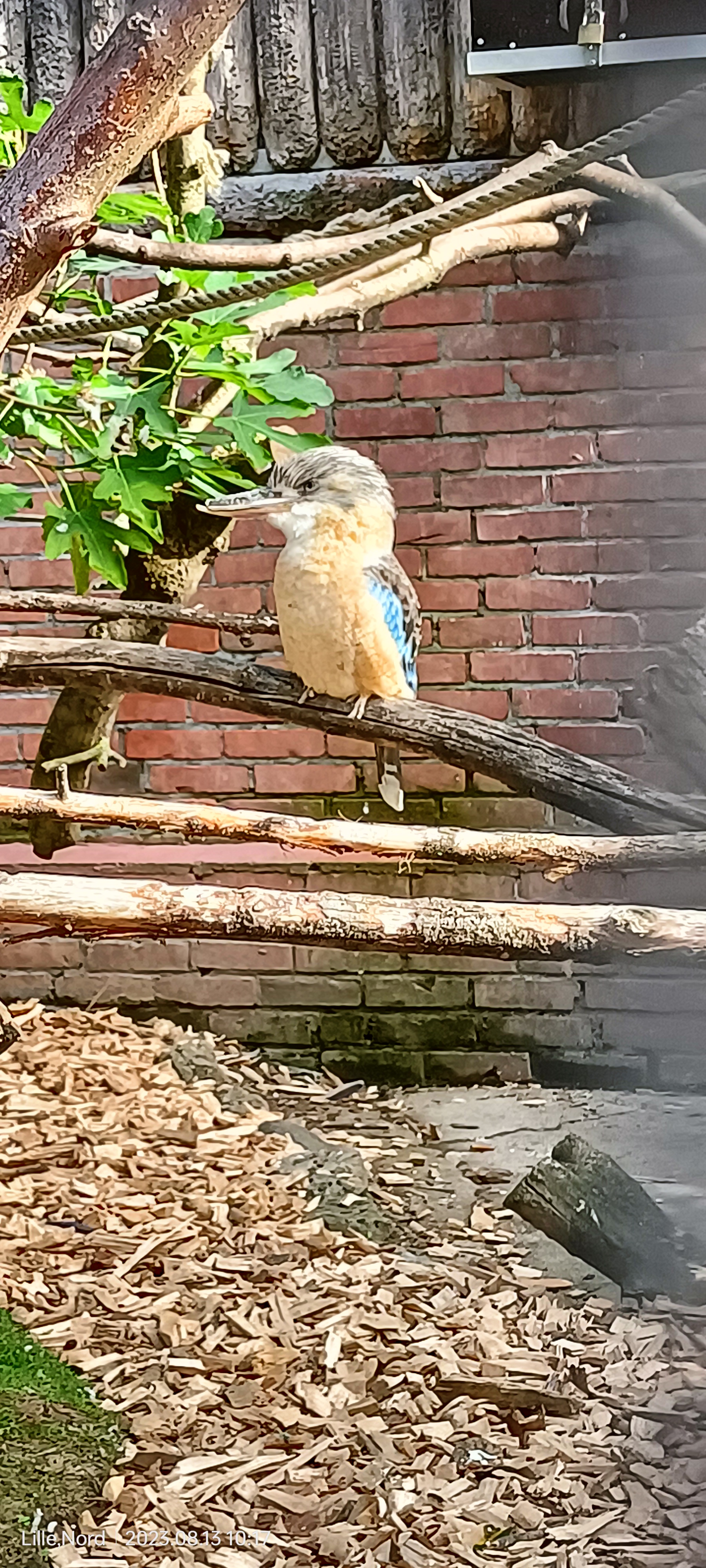 Photo n° 2 de l'avis de Chloe.r fait le 15/08/2023 à 11:04