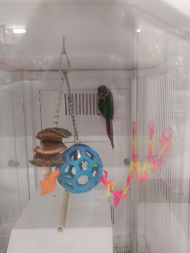 Pet Supply Store «Petco Animal Supplies», reviews and photos, 1970 S Robert St, West St Paul, MN 55118, USA