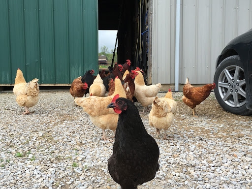 Campground «Hickory Hills Campground», reviews and photos, 499 Dixie Hill Rd, Spencer, IN 47460, USA