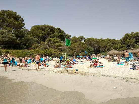 Cala Sa Nau Strand