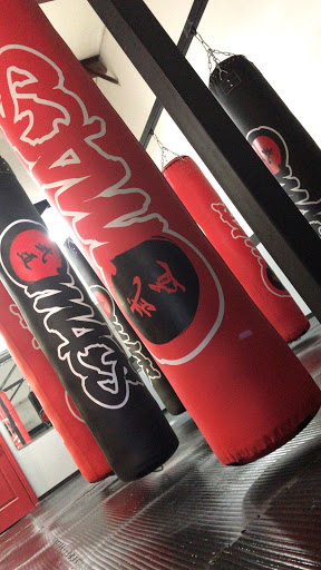 Boxing Gym «Teknique Boxing», reviews and photos, 317 E Washington St Unit D, Minneola, FL 34715, USA