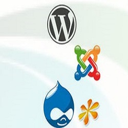 Webologist - Website designer