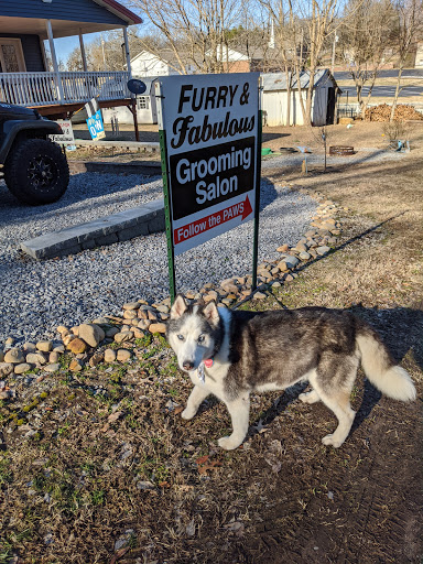 Furry & Fabulous Grooming Salon