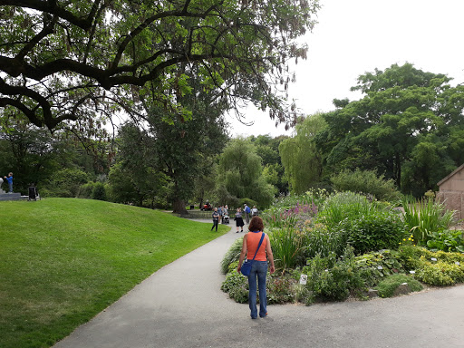 The Botanical Garden