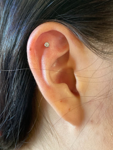 Tattoo Shop «Red Room Tattoo», reviews and photos, 231 Nord Ave, Chico, CA 95928, USA