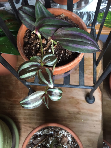 Hardware Store «McLendon Hardware», reviews and photos, 11307 Canyon Rd E, Puyallup, WA 98373, USA