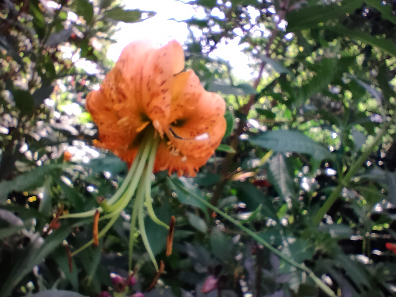 Photo n° 4 de l'avis de Sylvie.o fait le 21/07/2023 à 18:45