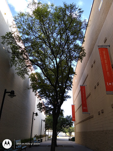 Movie Theater «Cinemark Ridgmar 13», reviews and photos, 2300 Green Oaks Rd, Fort Worth, TX 76116, USA