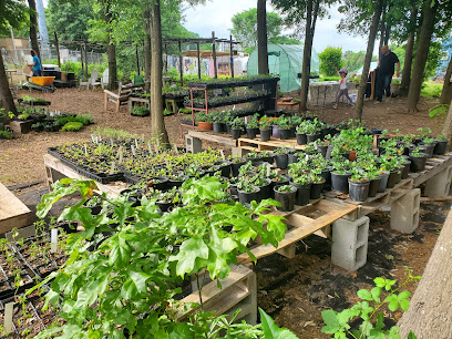 Urban Sprout Farms