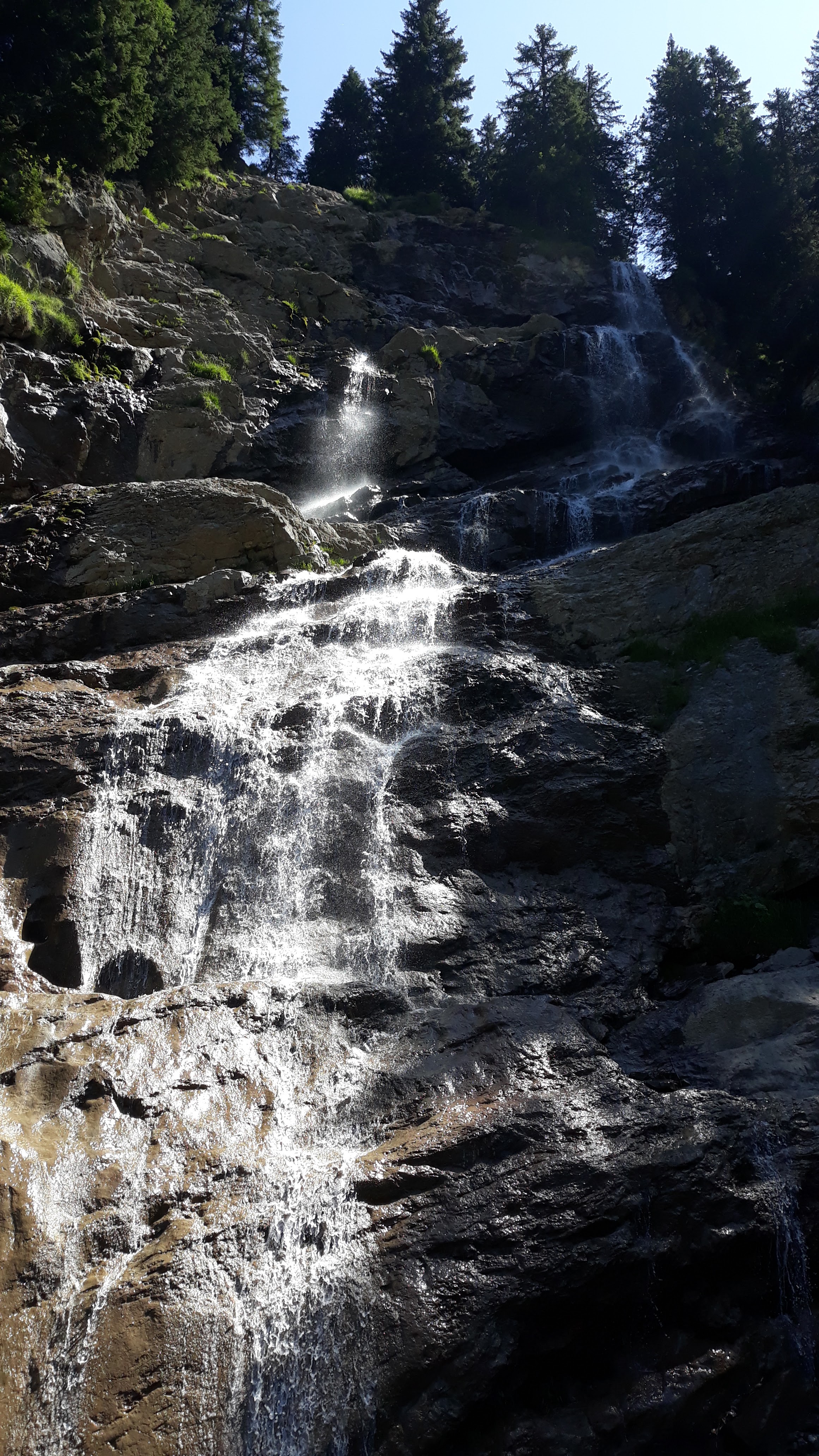 Photo n° 2 de l'avis de YANN.A fait le 04/08/2019 à 11:38