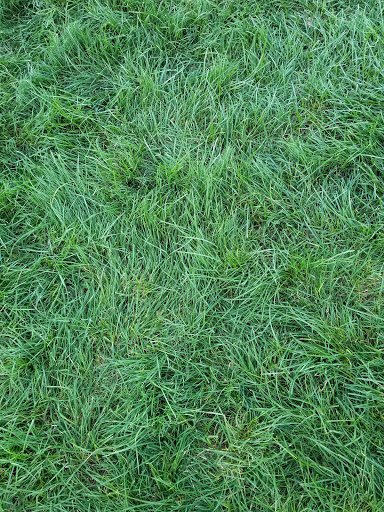 Park «Vietnam Veterans Park», reviews and photos, Treble Cove Rd, Billerica, MA 01821, USA