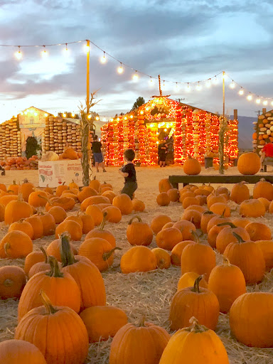 Produce Market «Kuwahara Farms», reviews and photos, 736 12300 S, Draper, UT 84020, USA