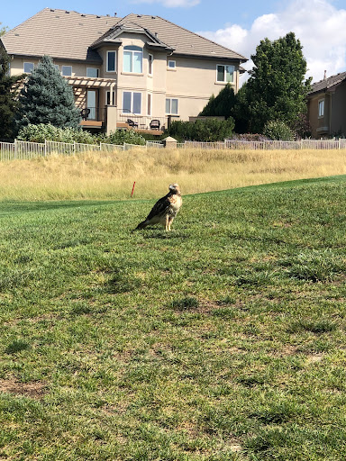 Golf Course «Saddle Rock Golf Course», reviews and photos, 21705 E Arapahoe Rd, Aurora, CO 80016, USA