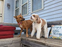 Angel's Pet Boarding LLC - Photo 1 - Car repair in South Bend, IN, South Bend
