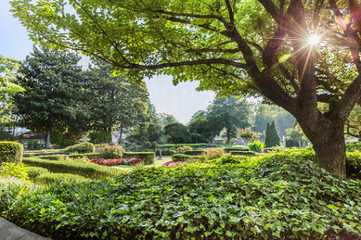 Funeral Home «H.M. Patterson & Son-Spring Hill Chapel», reviews and photos, 1020 Spring St NW, Atlanta, GA 30309, USA