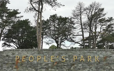 Portadown People's Park image