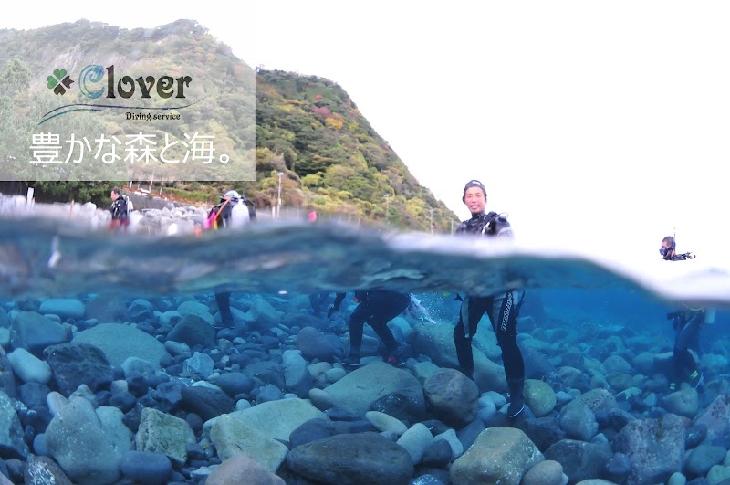 Clover Diving Service