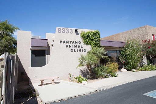 Pantano Animal Clinic, PC
