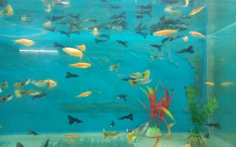Sravanthi Aquariums image