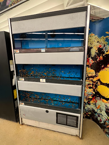 Pet Supply Store «Petco Animal Supplies», reviews and photos, 2230 Marlton Pike W #3, Cherry Hill, NJ 08002, USA