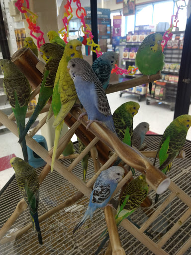 Pet Supply Store «Petco Animal Supplies», reviews and photos, 6761 Westminster Ave, Westminster, CA 92683, USA