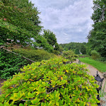 Photo n°5 de l'avis de Ben.c fait le 23/08/2022 à 11:58 sur le  Hotel Hanses-Bräutigam à Schmallenberg