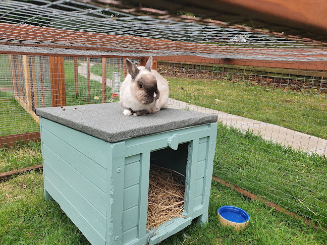 Reviews of Furry Friends Hotel Rabbit & Small Animal Boarding . in Glasgow - Dog trainer