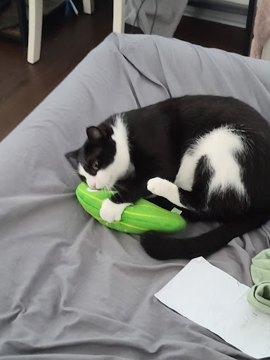 Pet Supply Store «PetSmart», reviews and photos, 4550 W Lake Mary Blvd, Lake Mary, FL 32746, USA