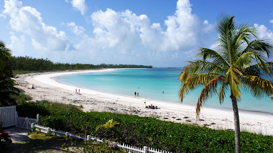 French Leave beach