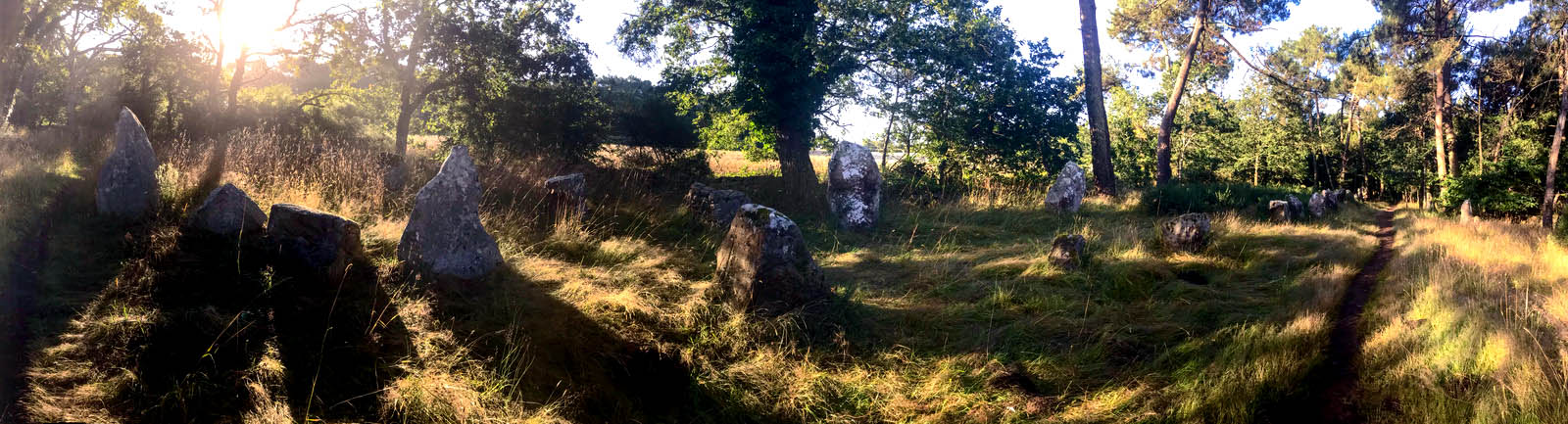 Photo n° 1 de l'avis de Sebastien.e fait le 14/07/2020 à 18:55