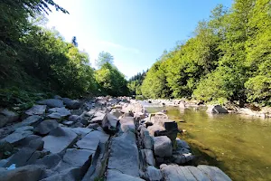 Wetlina river image