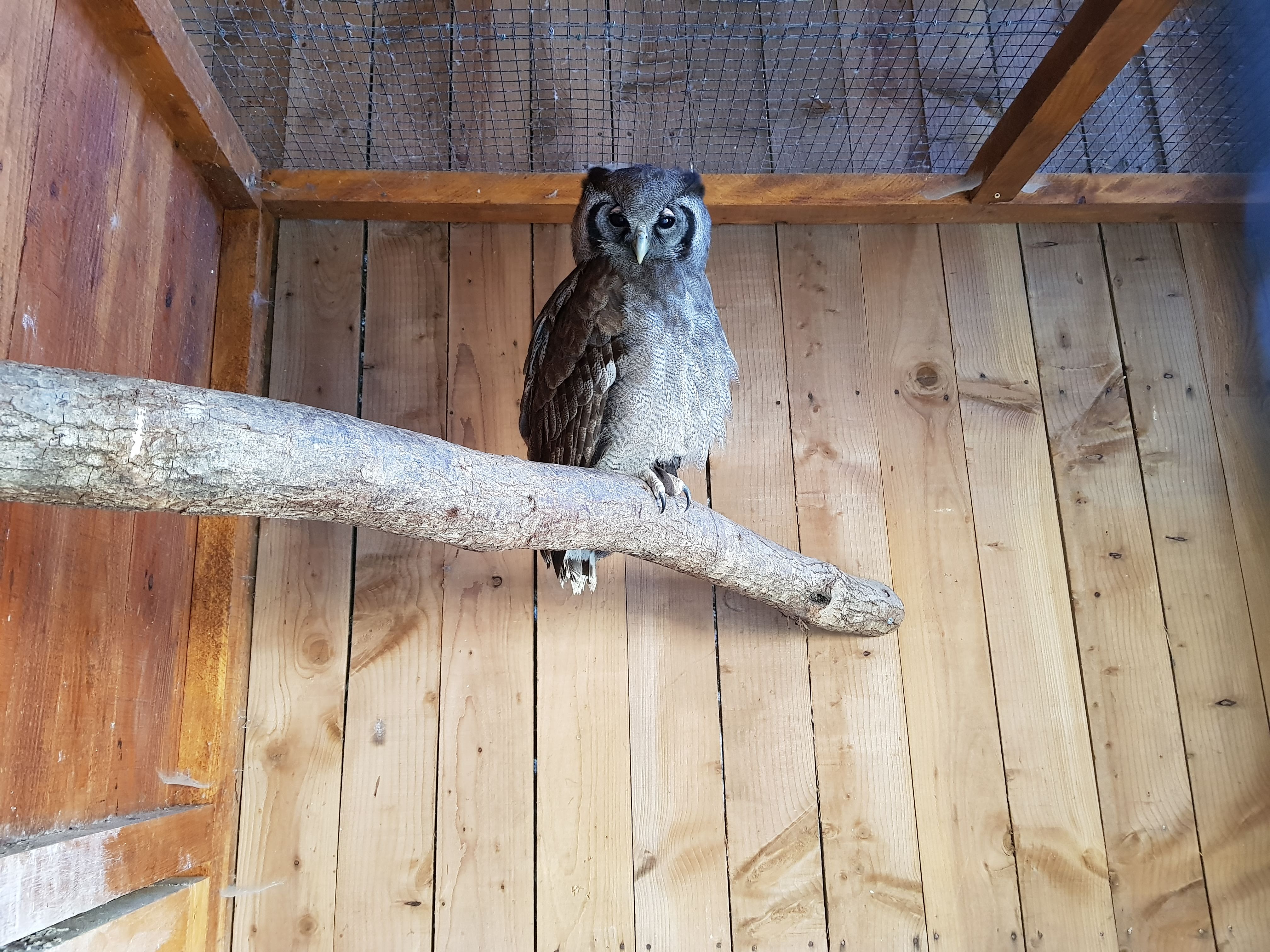 Photo n° 1 de l'avis de Alexandre.L fait le 24/09/2017 à 17:00