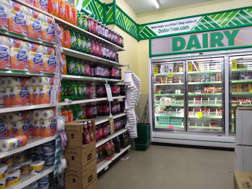 Dollar Store «Dollar Tree», reviews and photos, 321 Indian Boundary Rd, Chesterton, IN 46304, USA