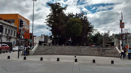 Plaza De Los Derechos Humanos, Punta Arenas