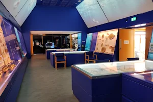 The Etches Collection Museum of Jurassic Marine Life image