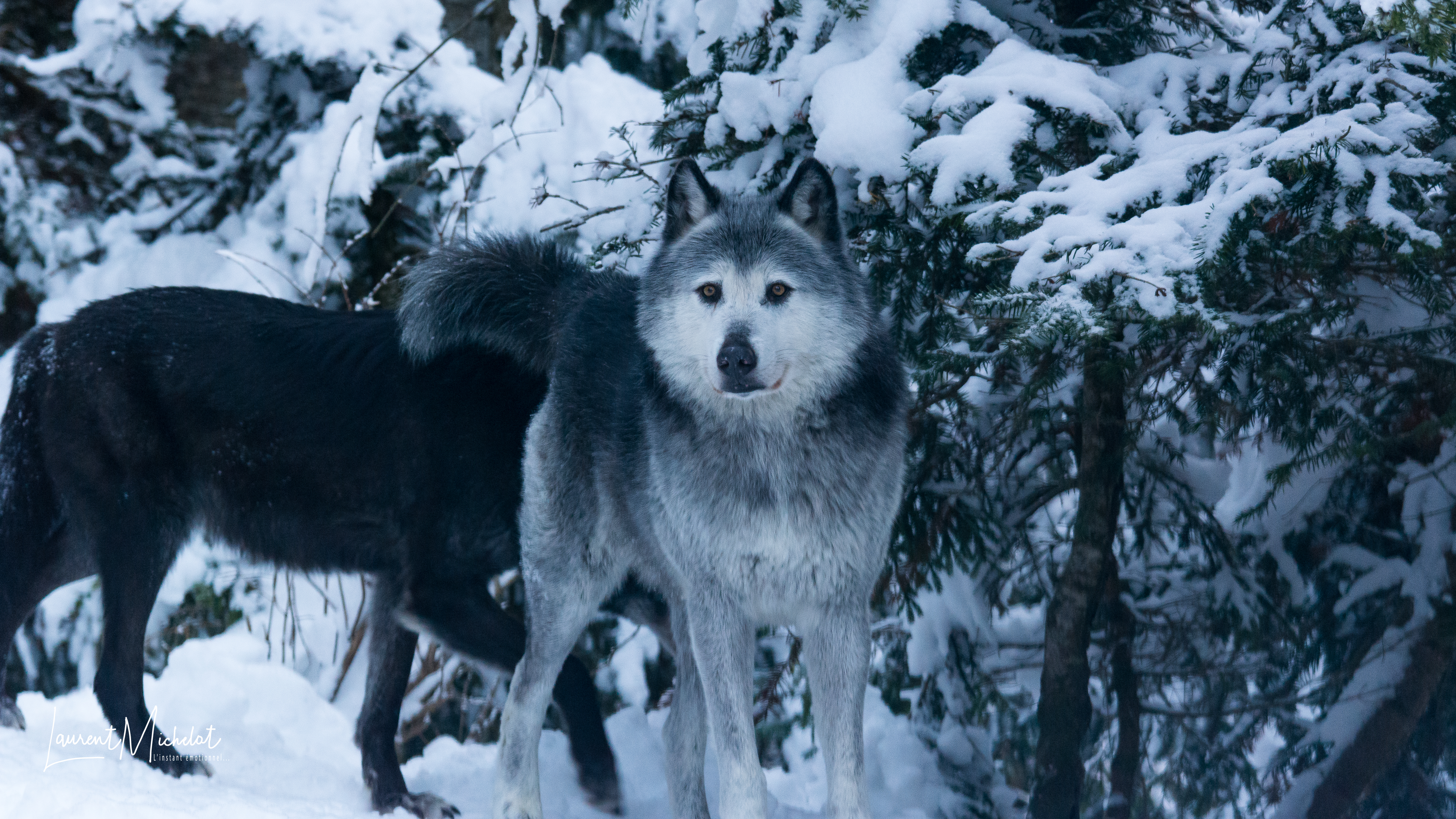 Photo n° 6 de l'avis de Laurent.i fait le 30/01/2018 à 08:30