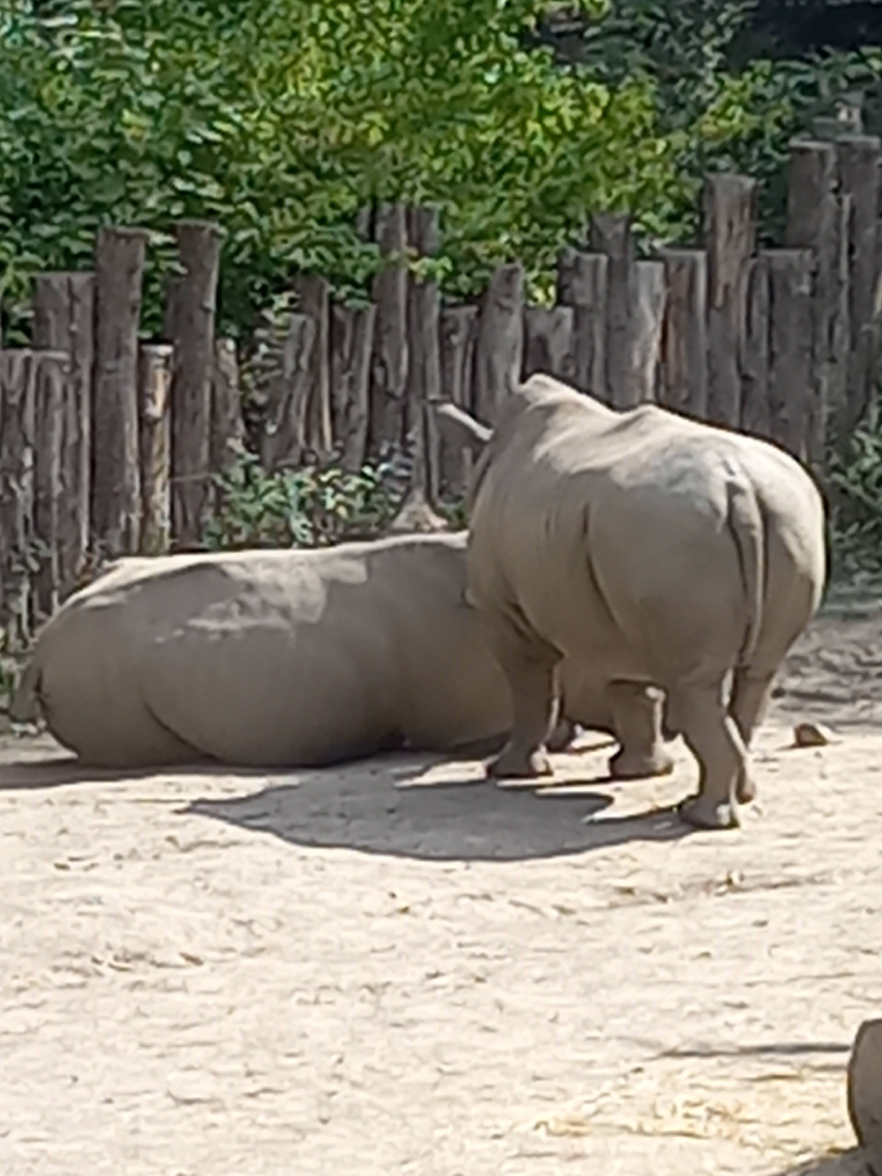 Photo n° 4 de l'avis de Pille.l fait le 26/08/2022 à 11:50
