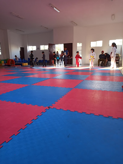 Taekwondo Olimpico Los Sauces - 74160 Huejotzingo, Puebla, Mexico