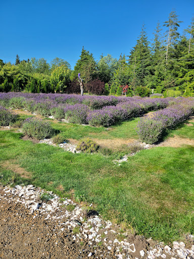 Winery «Westport Winery Garden Resort», reviews and photos, 1 S Arbor Rd, Aberdeen, WA 98520, USA