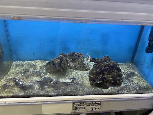 Pet Supply Store «Petco Animal Supplies», reviews and photos, 3452 W Chandler Blvd, Chandler, AZ 85226, USA